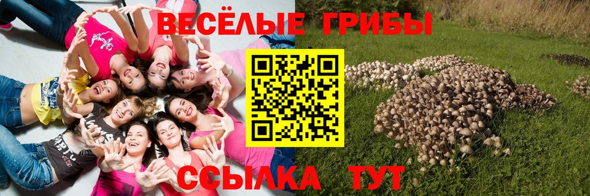 Галлюциногенные грибы MAGIC MUSHROOMS Кемерово